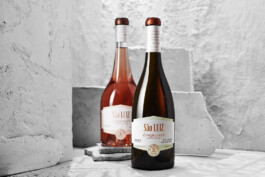 Ana Fernandes is a Brand Manager & Producer based in Porto, Portugal.