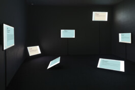 Ana Fernandes is a Brand Manager & Producer based in Porto, Portugal.