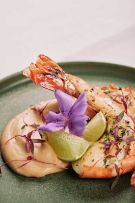 Ana Fernandes is a Brand Manager & Producer based in Porto, Portugal.