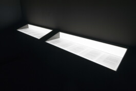 Ana Fernandes is a Brand Manager & Producer based in Porto, Portugal.