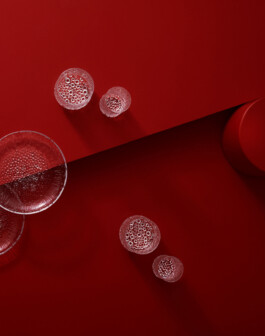 Ana Fernandes is a Brand Manager & Producer based in Porto, Portugal.