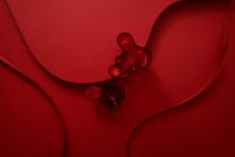 Ana Fernandes is a Brand Manager & Producer based in Porto, Portugal.