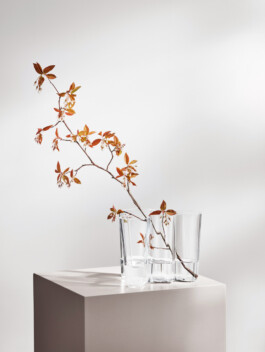 Ana Fernandes is a Brand Manager & Producer based in Porto, Portugal.