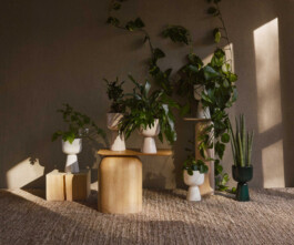 Ana Fernandes is a Brand Manager & Producer based in Porto, Portugal.