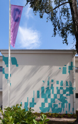 Ana Fernandes is a Brand Manager & Producer based in Porto, Portugal.