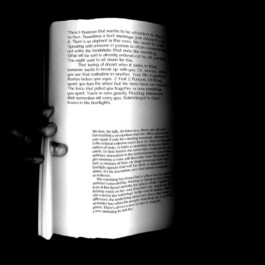 Ana Fernandes is a Brand Manager & Producer based in Porto, Portugal.