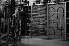 Ana Fernandes is a Brand Manager & Producer based in Porto, Portugal.