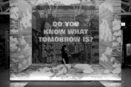 Ana Fernandes is a Brand Manager & Producer based in Porto, Portugal.